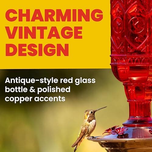More Birds Red Jewel Hummingbird Feeder, Glass Bottle, 5 Feeding Ports and 20-Ounce Nectar Capacity (76IN) thumbnail 5