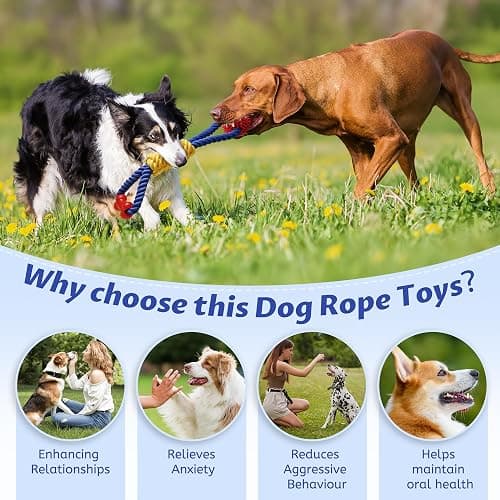 Aitmexcn Dog Rope Toy, Interactive Tug of War Toy for Medium and Large Dogs | Natural Cotton, Durable Chew Toys for Boredom, Teeth Cleaning, Pull Rope Toy for Dogs thumbnail 4