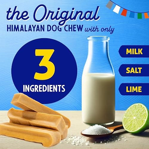 Himalayan Dog Chew Original Yak Cheese Chew, 1 Large Stick, 3.3 oz, Gluten Free, Healthy Treats, Grain & Lactose Free 100% Natural, Long Lasting for Dogs Under 55 lbs thumbnail 3