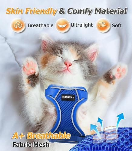 Halypet Cat Harness and Leash Set [MAX Safety 4th-Gen Upgrade] Escape Proof Adjustable Cat Leash Comfortable Soft Vest Easy to Wear Kitten Harness with Reflective Strip for Cats Walking, S Blue thumbnail 4