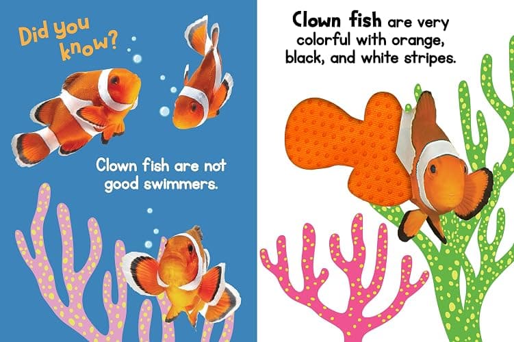 Ocean Friends - Touch and Feel Board Book - Sensory Board Book thumbnail 5