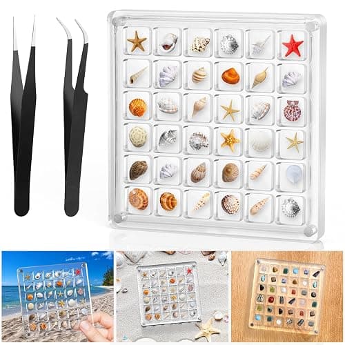 XANGNIER Acrylic Magnetic Seashell Display Box,Clear Sea Shell Display Box,Beach Magnet Storage Organizer Case for Seashell Diamond Beads,36 Grids,Transparent,1 Pack - Image 1