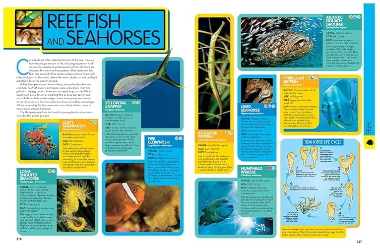 National Geographic Kids Animal Encyclopedia, 2nd Edition: 2,500 Animals with Photos, Maps, and More! (NGK Encyclopedias) thumbnail 6