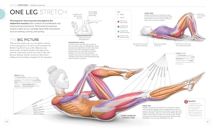 Science of Pilates: Understand the Anatomy and Physiology to Perfect Your Practice (The Science of Fitness) thumbnail 4