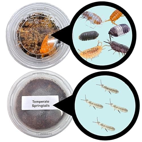 10 Mega Mix Isopods | 8oz Coco Temperate Springtails | Live Arrival Nationwide! - Image 1