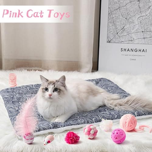 MALLMALL6 10Pcs Cat Toy Set Interactive Cat Toys Pack Including Feather Teaser Wand Cat Springs Mice Crinkle Balls and Pet Bell Balls, Puzzle Toys for Indoor Cats Gift (Pink) thumbnail 6
