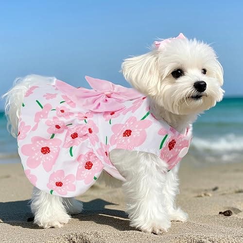 choyaxo Floral Dog Dress Cute Dog Skirt Pet Dress Summer Pet Clothes for Puppy Small Cats thumbnail 4