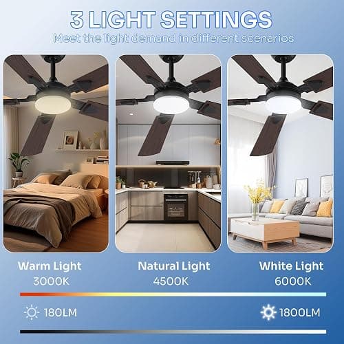 Crazypai Ceiling Fans with Lights, 52 Inch Modern Ceiling Fans with Lights | DC Reversible Motor, Noiseless, 3CCT, Ceiling Fan with Remote Control for Bedroom, Living Room, Apartment Indoor/Outdoor Use thumbnail 4