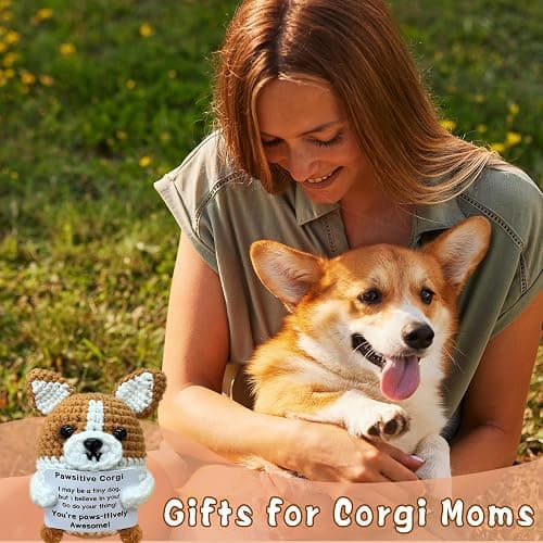 Zelaxeyi Corgi Gifts for Corgi Lovers,Positive Crochet Animals,Inspiring Mini Cute Corgis Decor Gifts for Good Friends thumbnail 2