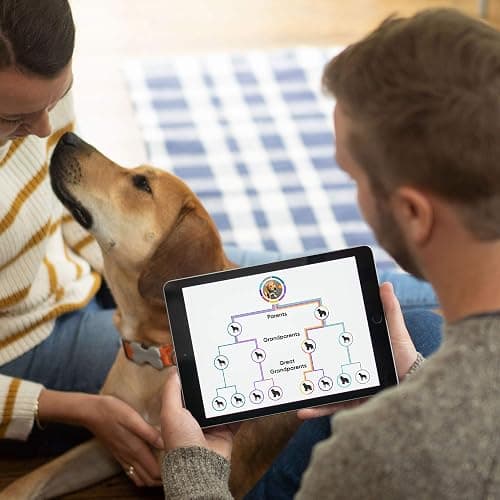 Embark Breed & Health Kit (2 Pack) - Dog DNA Test - Discover Breed, Ancestry, Relative Finder, Genetic Health, Traits, COI thumbnail 5