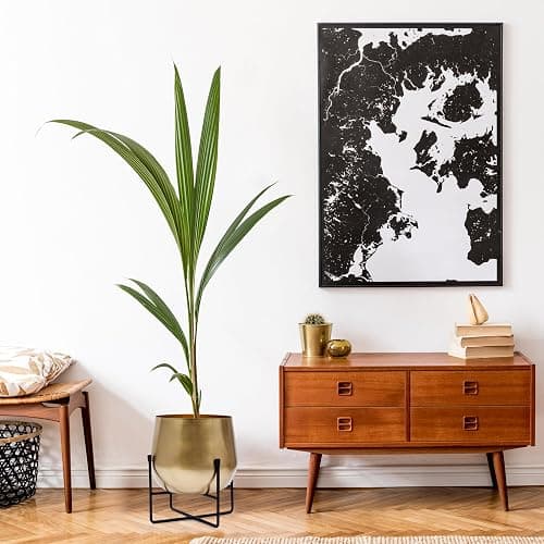 Olly & Rose XL Gold Plant Stand with Plant Pot 28cm 11 Inch - Metal Plant Pots Indoor Planter Large Flower Pot… thumbnail 4