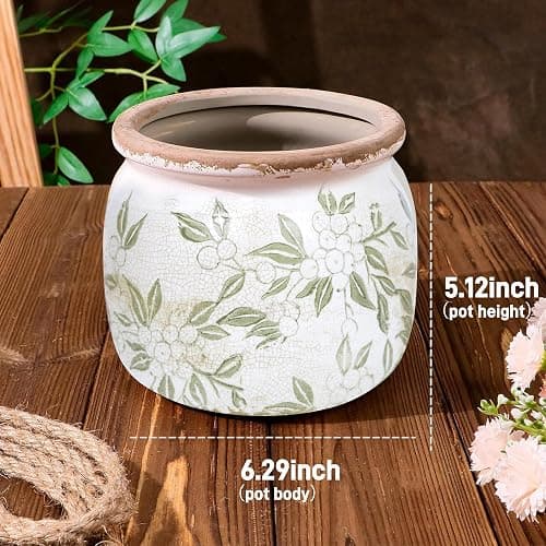 Dosayes Ceramic Pot for Planter, Vintage Flower Pot with Drainage Holes, 6.29 inch Ice Crack Glazed Indoor Planters Pot (Vintage) thumbnail 3