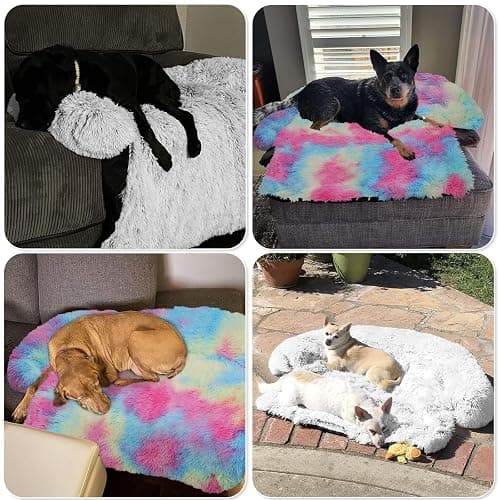 GGIB Calming Dog Bed Fluffy Plush Dog Mat for Furniture Protector with Removable Washable Cover for Large Medium Small Dogs and Cats (Extra Large (53x39.3x6), Rainbow) thumbnail 7