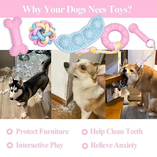 Ousiya 8 Pack Puppy Chew Toy Set Durable Dog Toys for Small Puppy Breeds Teething Toys for Puppies Non-Toxic and Safe Perfect for Training and Playtime thumbnail 6