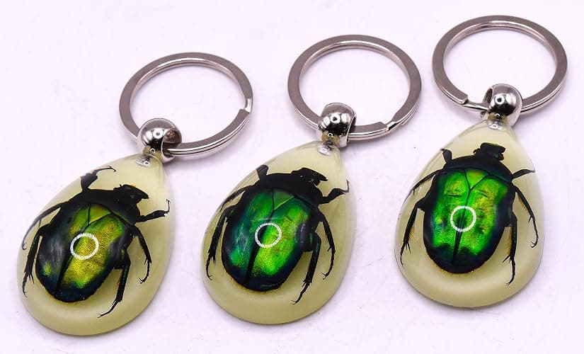 HQRP-Crystal 45mm Real Emerald Green Chafer Beetle in Glow in The Dark Lucite Keychain Insect Animal Taxidermy Sample Inside for Biology Science Education Decoration Tear Drop Key Ring Chain Pendant thumbnail 6