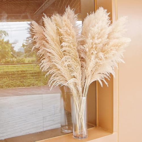 46" inch 10 Stems Natural Pampas Grass Decor Tall, Pompas Grass, Tall Pampas Grass for Weddingm, Farmhouse, Boho Home Decor (Beige) thumbnail 2