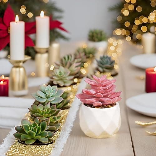 VIVERIE Mini Succulents Plants Artificial in Pots-Rose Pink, Christmas Small Fake Succulents Plants for Home Halloween Decor Indoor for Women, White Ceramic, Set of 4, Gifts for Mom thumbnail 8