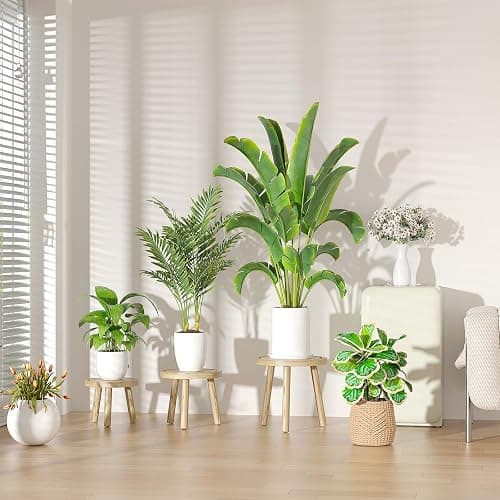 Vecxoty 3-Pack Wood Plant Stands Indoor, Single Plant Stand for 6-12 Inch Pots, Mid-Century Modern Plant Stool, Tall Plant Stand for Large Plants for Living Room, Balcony, Office (Light Brown thumbnail 7