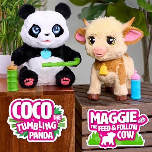 FurReal Maggie The Feed & Follow Cow, 11 Inch Interactive Highland Mini Cow, for Boys and Girls, Ages 4 and up thumbnail 9