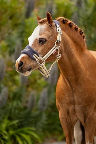 LeMieux Mini Vogue Halter & Leadrope - Dusk Blue - Super Mini thumbnail 2