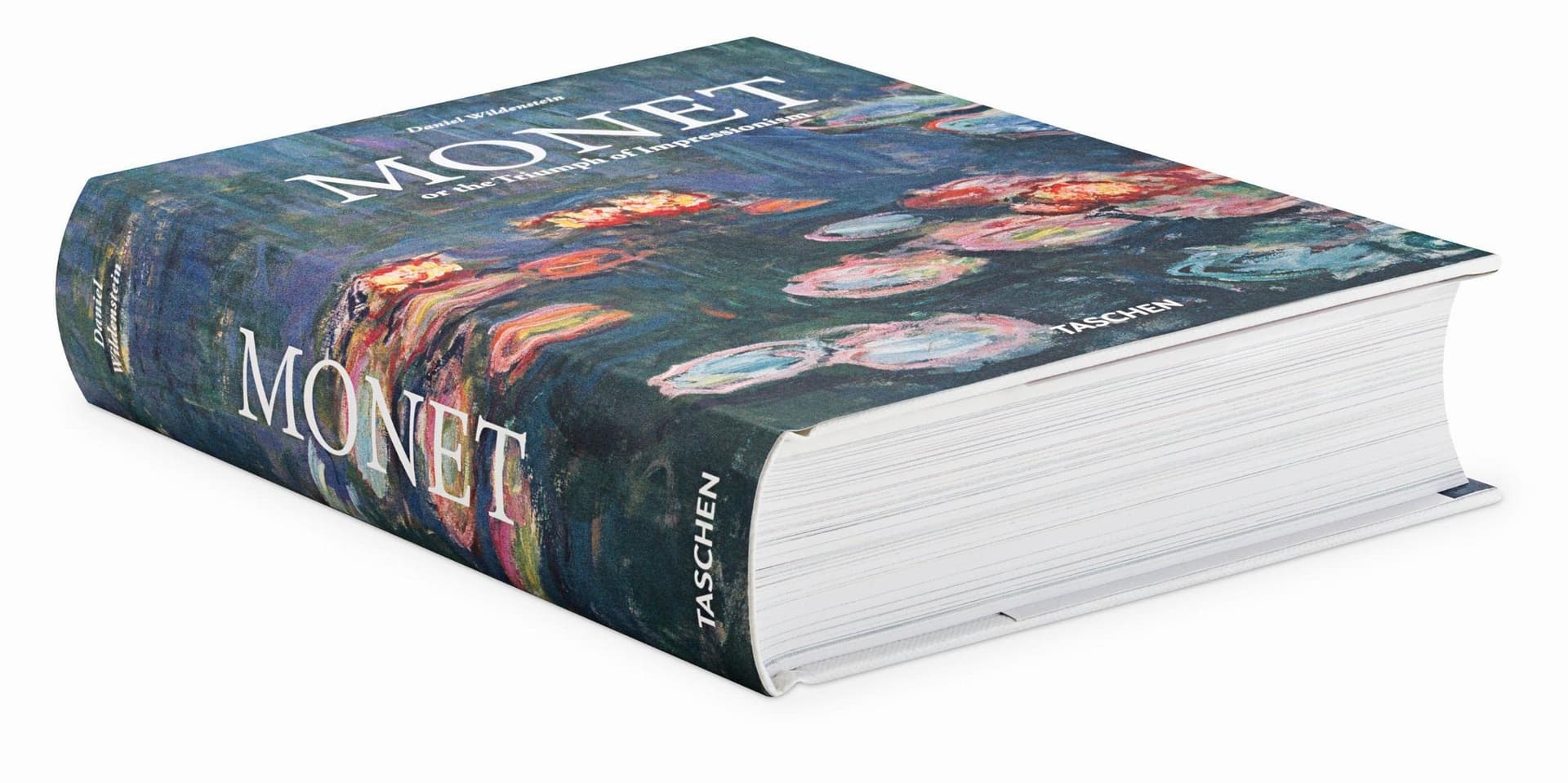 Monet: The Triumph of Impressionism thumbnail 2