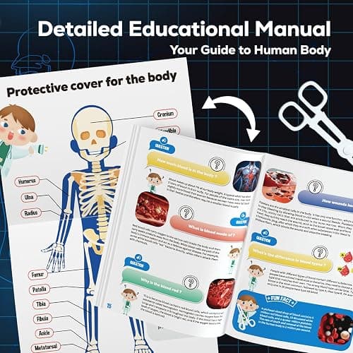 5. GobiDex Human Body Skeleton Model Kits, 40 Piece Anatomy Figure,Glow in The Dark Bones Interactive Science Kit, STEM Educational Toys for Boys and Girls, Halloween Physiology Gifts for Kids Ages 8+ thumbnail 5
