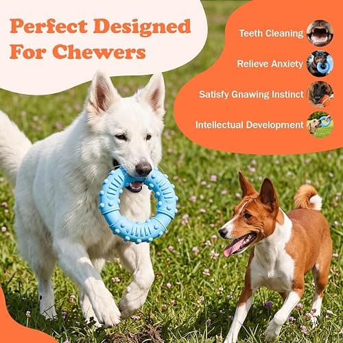 3 Pack Dog Chew Toys for Aggressive Chewers, interactive dog toys | 100% Natural Rubber Squeaky Rugby, Bacon & Milk Flavored, Durable Interactive Oral Care Toys for Medium & Large Breeds thumbnail 3