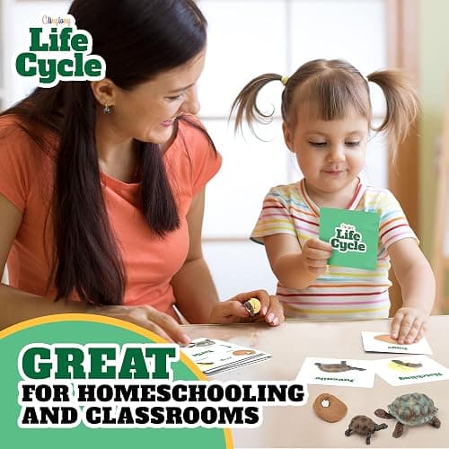 Life Cycle Animal Kit - Montessori Science Toy with 24-Piece Matching Game, Butterfly, Frog, Chicken, Bee, Ladybug and Turtle STEM Educational Gift, Easter Basket fillers for Kids Ages 3-8 thumbnail 5