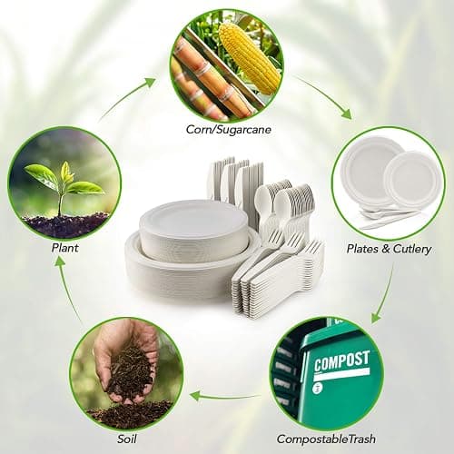 250 Piece Biodegradable Paper Plates Set (EXTRA LONG UTENSILS), Disposable Dinnerware Set, Eco Friendly Compostable Plates & Utensil include Plates, Forks, Knives and Spoons for Party thumbnail 7