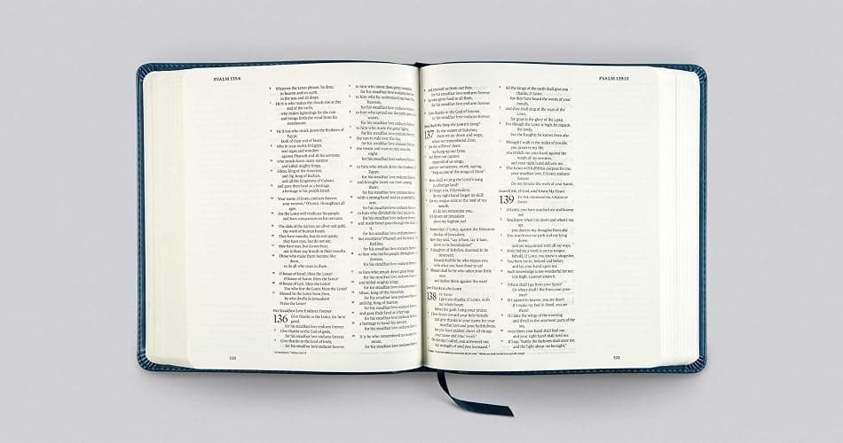 ESV Journaling Bible (TruTone, Deep Teal, Fleur-de-lis Design): Holy Bible, English Standard Version thumbnail 3