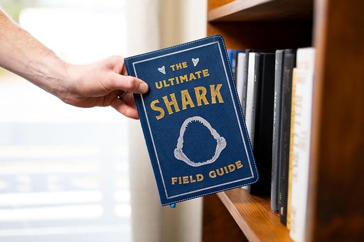 The Ultimate Shark Field Guide: The Ocean Explorer's Handbook (Ultimate Field Guides) thumbnail 7