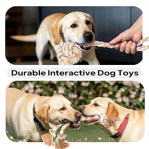 PetiFine Chew Toys for Dogs 4 Pack, Dog Rope Toy for Aggressive Chewers, Interactive Rope Ball Natural Cotton, Dog Tug of War Toy for Teeth Cleaning thumbnail 3