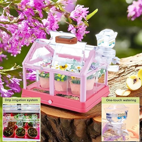 EXBEPE Kids Plant Growing Kit Greenhouse Growing Set Terrarium Kit Kids Science Educational DIY Plant Gardening Toy, Living Greenhouse with Solar Panel, Indoor Gardening Kit thumbnail 4
