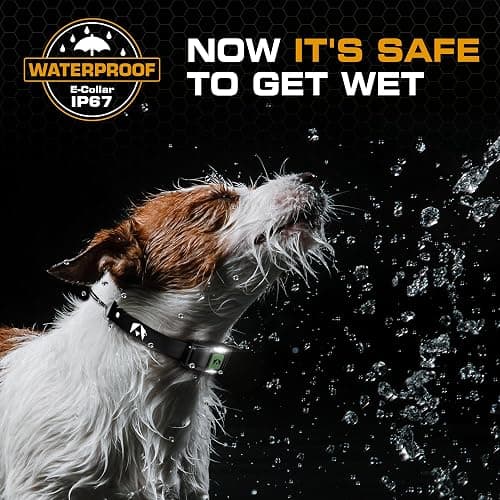 INVIROX Training Collar for Large Dog X2 [Spark K9] 124 Levels with Remote 1100yd Range, Night-Light Mode for Medium Dogs IP67 Waterproof Training Collar for Dogs thumbnail 4