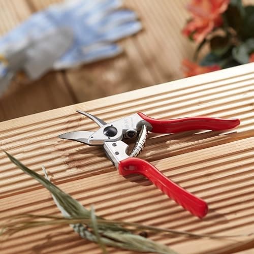 Felco F6 Pruning Shears – 7.7" Swiss-Made Garden Clippers for Medium Hands | Hand Pruners for Gardening | Garden Tool Cutter with Precision Bypass Blade, Forged Aluminum Handles, Replaceable Parts thumbnail 2