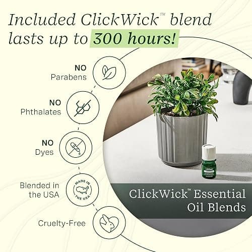 Lifelines Plant Diffuser with Modern Planter, Boxwood - Rechargeable Aromatherapy Diffuser, Artificial Faux Plants Home & Office - ClickWick Essential Oil Blend Included thumbnail 5