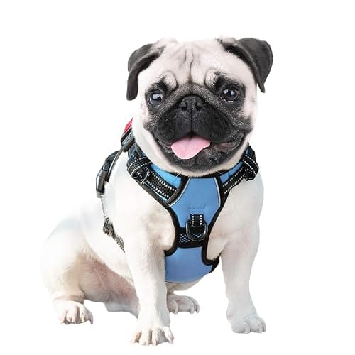 PHOEPET No Pull Dog Harness Reflective Adjustable Vest with a Training Handle, Name ID Pocket, 2 Metal Leash Hooks, 3 Snap Buckles [Easy to Put on & Take Off](S, Baby Blue) thumbnail 6