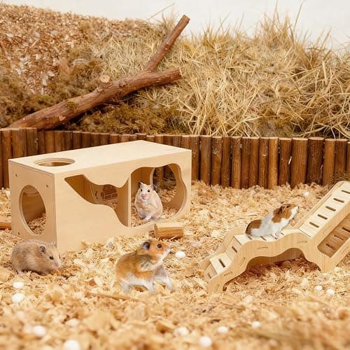 Hamster Hideout & Tunnel Set, 2Pcs Wooden House with Climbing Ladder, Exploration Tubes & Observation Shed for Syrian Hamsters, Dwarf Hamsters, Mice, Gerbils, Rats, and Other Small Animals thumbnail 7