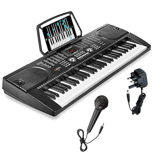 Crystals® 61 Keys Electronic Teaching Keyboard Digital Music Piano Instrument & Microphone with Keyboard Stand - Black (With Double Braced Stand) thumbnail 6