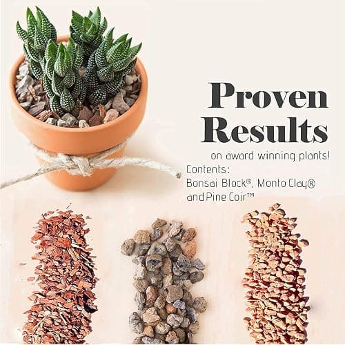 Bonsai Jack Succulent, Cactus and Bonsai Soil - Jacks Gritty Mix - 2 Gallons – Fast Draining – Fight Root Rot – Optimized pH thumbnail 5