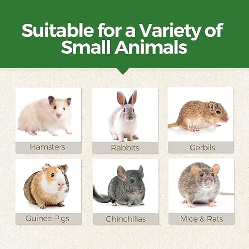 TEEWY Guinea Pig Toys, Prevent Teeth Overgrowth, Natural Vegetables and Timothy Grass, Hamster Chew Toys, Guinea Pig Chew Toys, Chinchilla Toys, 3PCS, Peapod-Shaped thumbnail 5