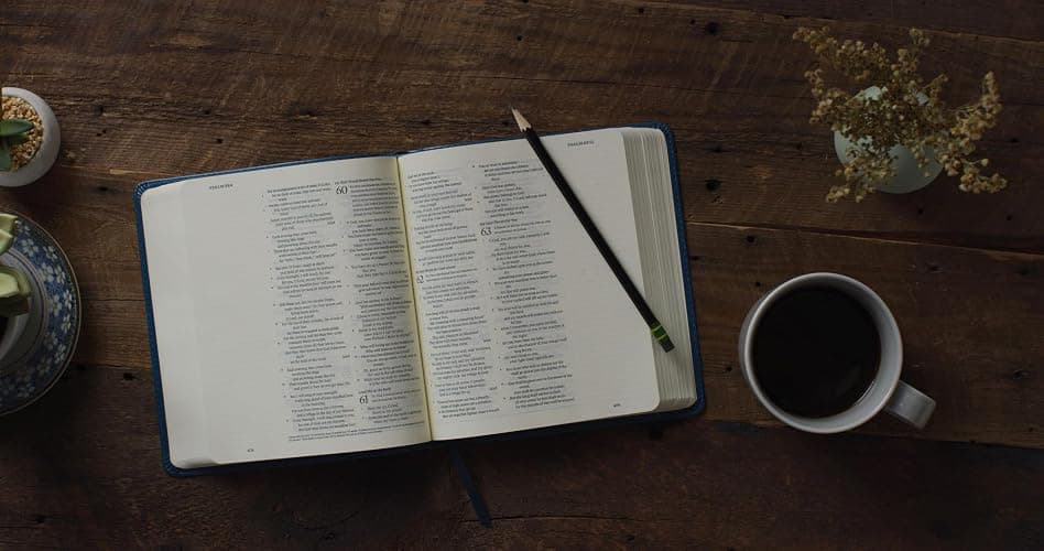 ESV Journaling Bible (TruTone, Deep Teal, Fleur-de-lis Design): Holy Bible, English Standard Version thumbnail 5