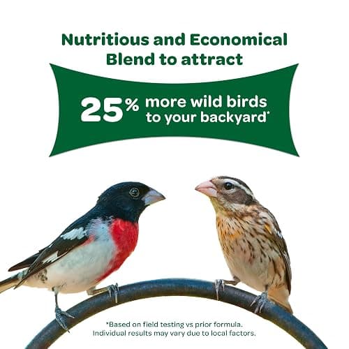 Kaytee Wild Bird Basic Seed, 10 lb - 10 Pound (Pack of 1) thumbnail 4