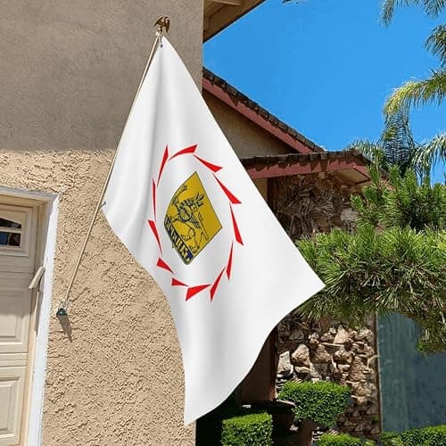 Easdey Flag Of Yerevan Flags For Outside 2x3ft Polyester Outdoor Decor Flag Patio Camping Banner Garden Party Flag With 2 Brass Grommets, Black thumbnail 6
