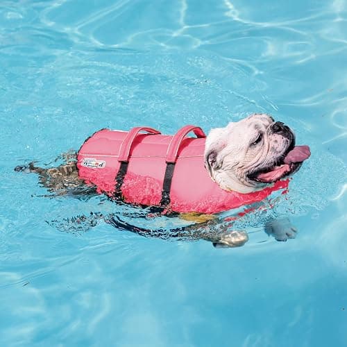 Outward Hound Granby Splash Pink Dog Life Jacket, Medium thumbnail 6