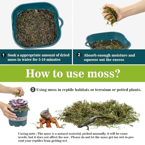 Sukh Sphagnum Moss for Reptiles - Terrarium Reptiles Moss Green Dried Peat Moss Habitat Bedding Moss for Snakes Turtle Frog Gecko and Other Reptiles Substrate (5, Ounces) thumbnail 4