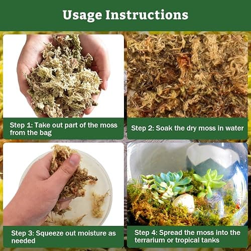 Riare 5.3oz Natural Sphagnum Moss for Reptiles- 6QT Terrarium Reptiles Moss | Moisture Retention, Dried Terrarium Moss Bedding for Lepard Gecko Snakes Turtles Frogs Jumping Spiders Humid Hide Setup thumbnail 4