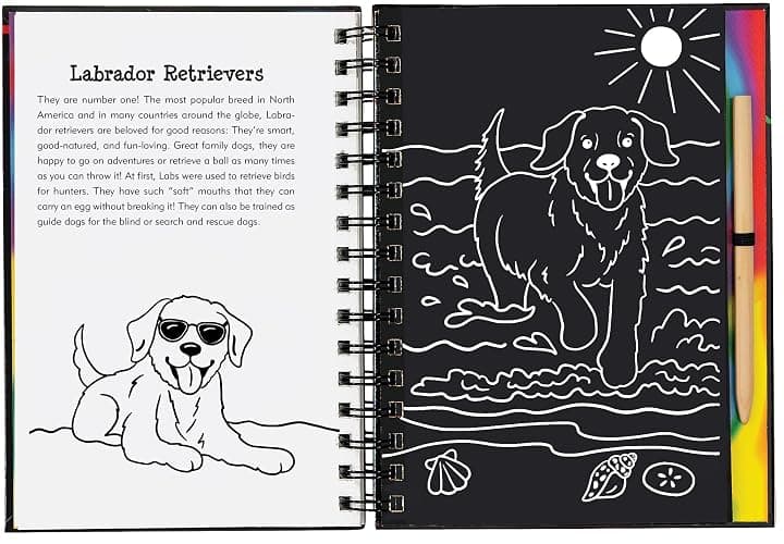 Scratch & Sketch Puppies (Trace Along) thumbnail 2