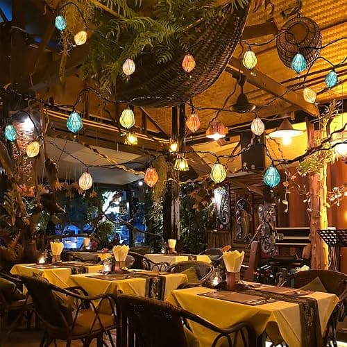 Vigdur Multicolor Outdoor String Lights with 10 Bulbs Connectable Waterproof, Indoor Outdoor Patio Light for Party Wedding Bedroom Cottagecore Decor thumbnail 3