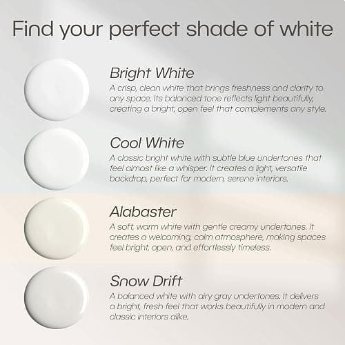 EVOLVE All Purpose Whites Paint & Primer, Flat (Cool White), 1 Gallon – Interior Latex, Excellent Touch-Up, High Hiding, Durable Paint for Walls & Ceilings thumbnail 3